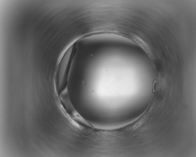 X0000070420812200606161436