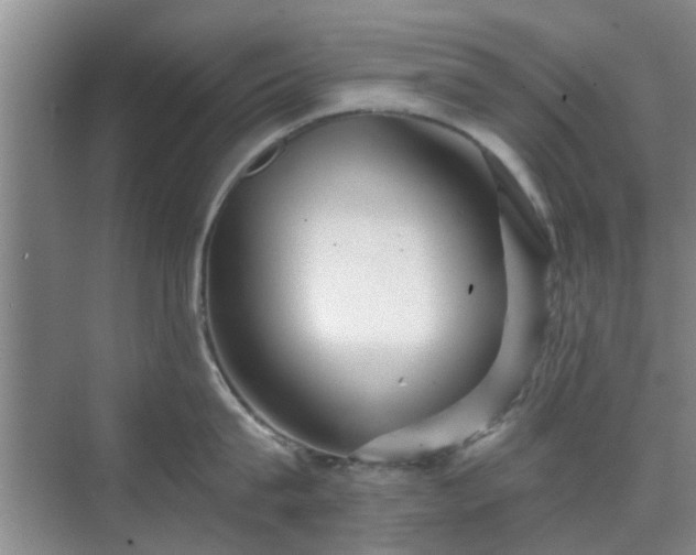 X0000070420815200606161436