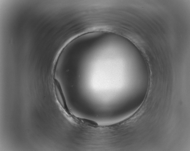 X0000070420816200606161436