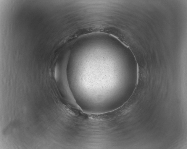 X0000070420818200606161435