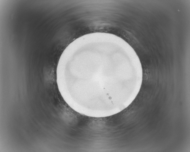 X0000070420820200606161435