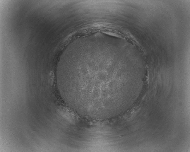 X0000070420821200606161435