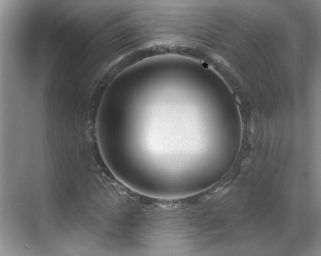 X0000070420822200606161435