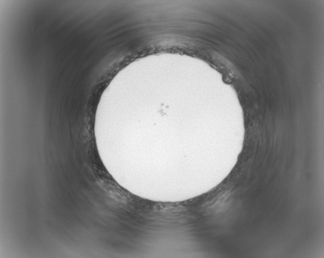 X0000070420824200606161435