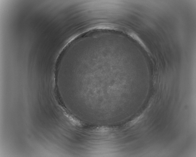 X0000070420829200606161436