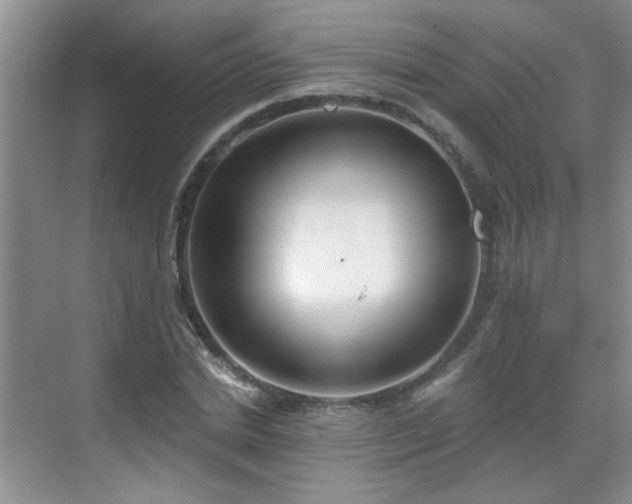 X0000070420830200606161436