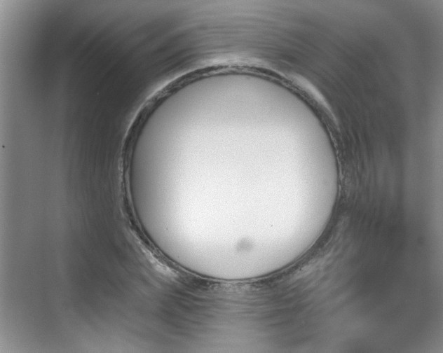 X0000070420831200606161436