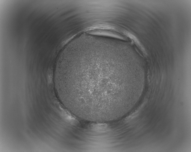 X0000070420833200606161436