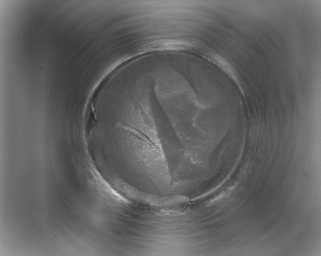 X0000070420835200606161436