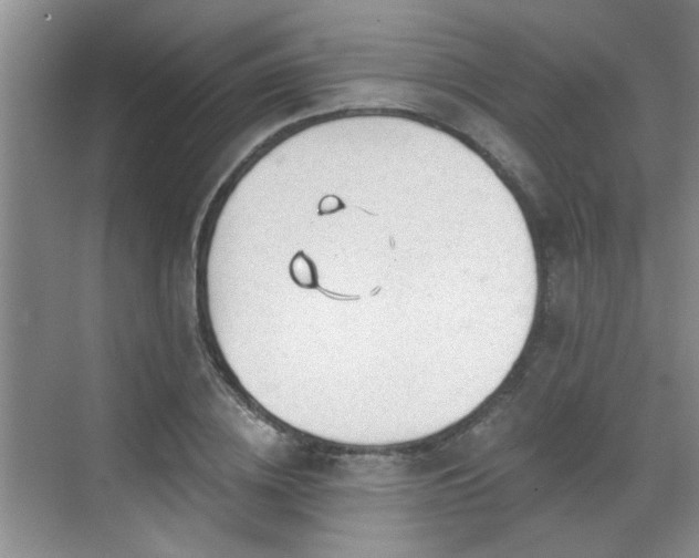 X0000070420836200606161436