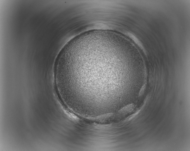 X0000070420837200606161436