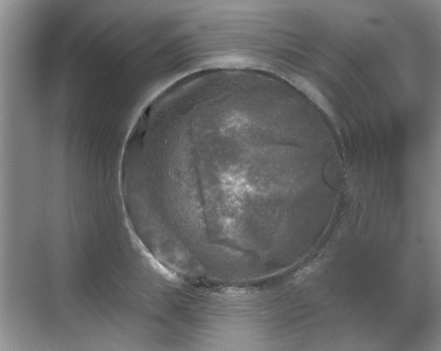 X0000070420839200606161436