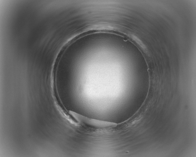 X0000070420840200606161436