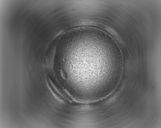 X0000070420841200606161436