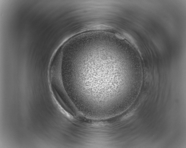 X0000070420843200606161436