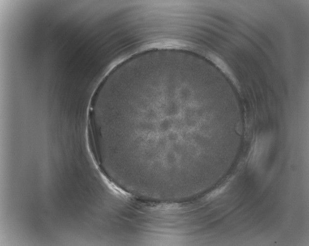 X0000070420845200606161436