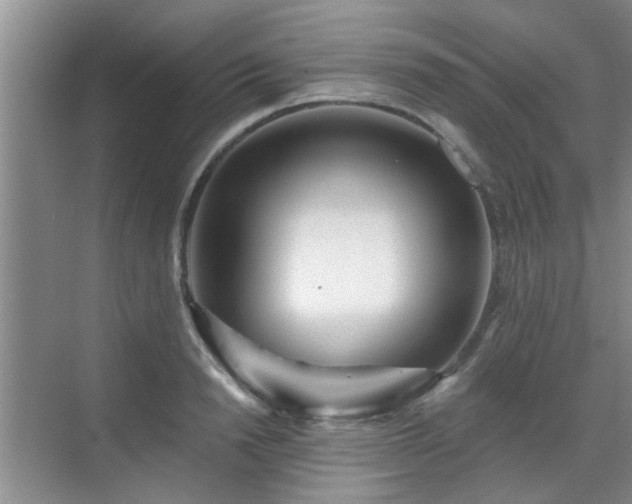 X0000070420846200606161436