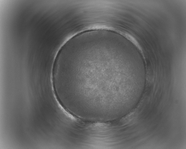 X0000070420847200606161436