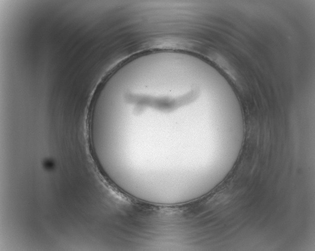 X0000070420848200606161436