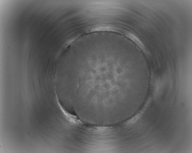 X0000070420849200606161436