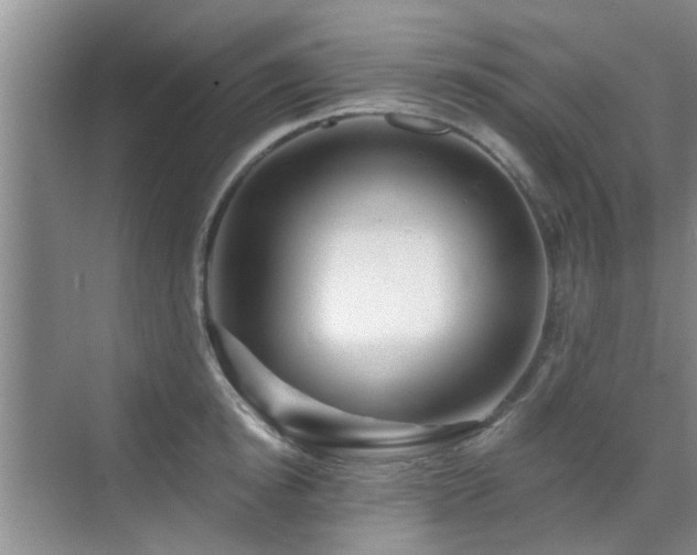 X0000070420854200606161436