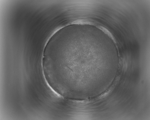 X0000070420855200606161436