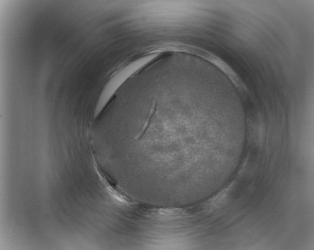 X0000070420857200606161436