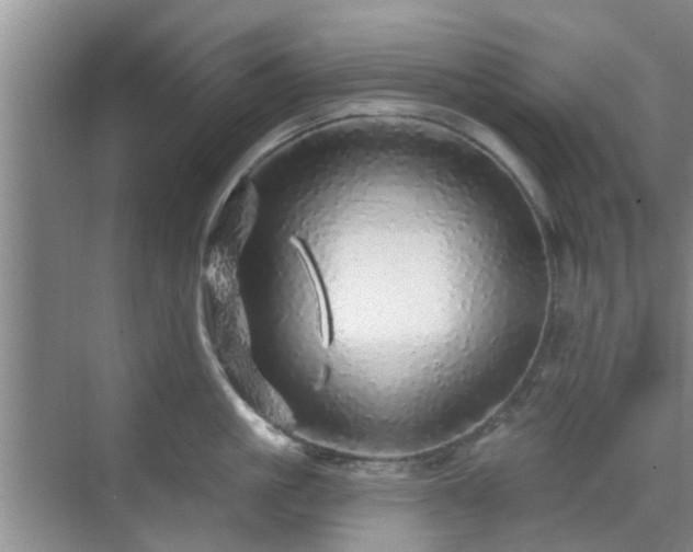 X0000070420861200606161436