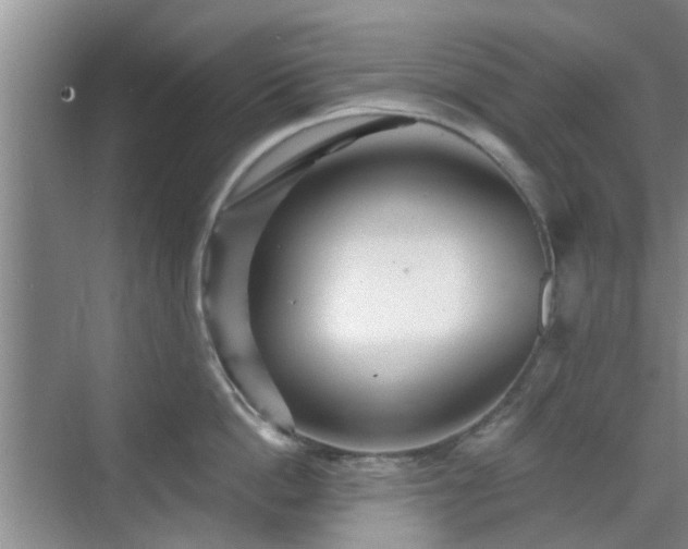 X0000070420862200606161436