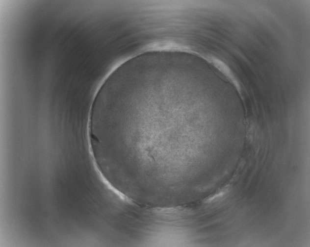 X0000070420863200606161436