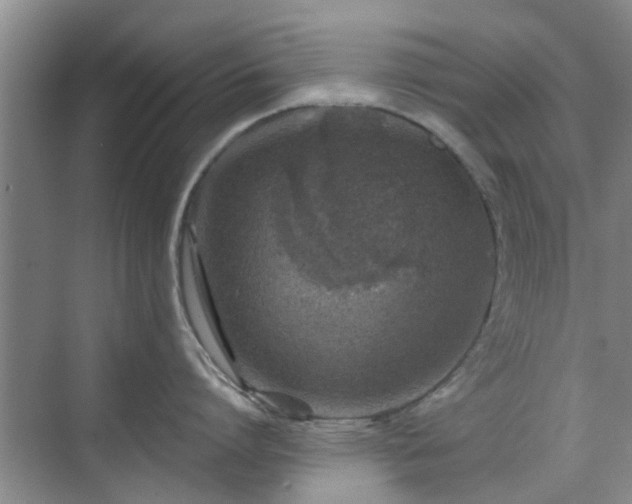 X0000070420864200606161436