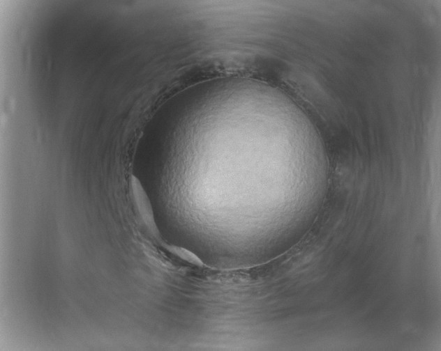 X0000070420865200606161435