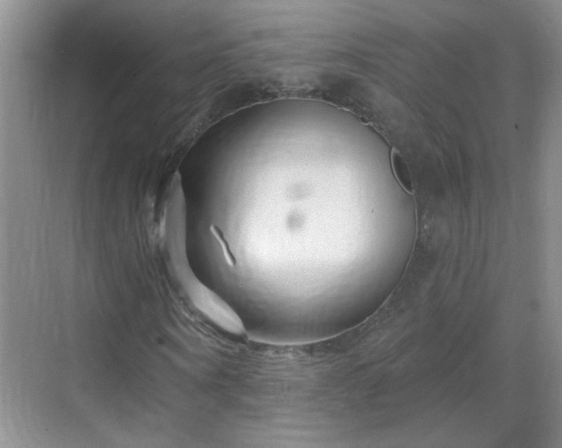 X0000070420866200606161435