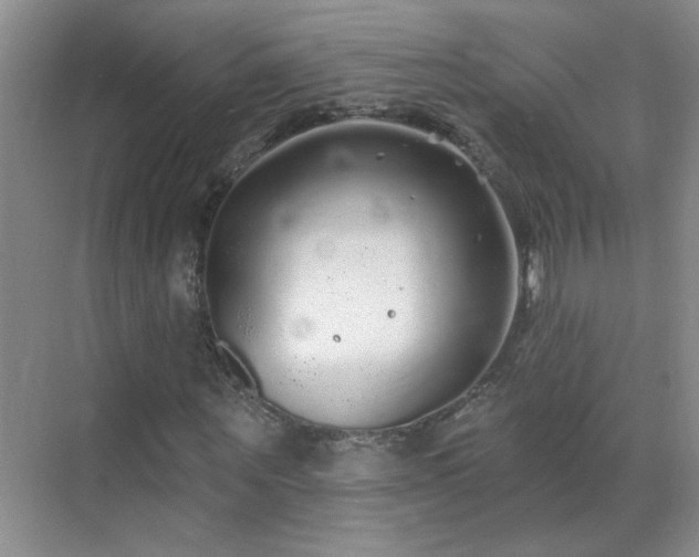 X0000070420867200606161435