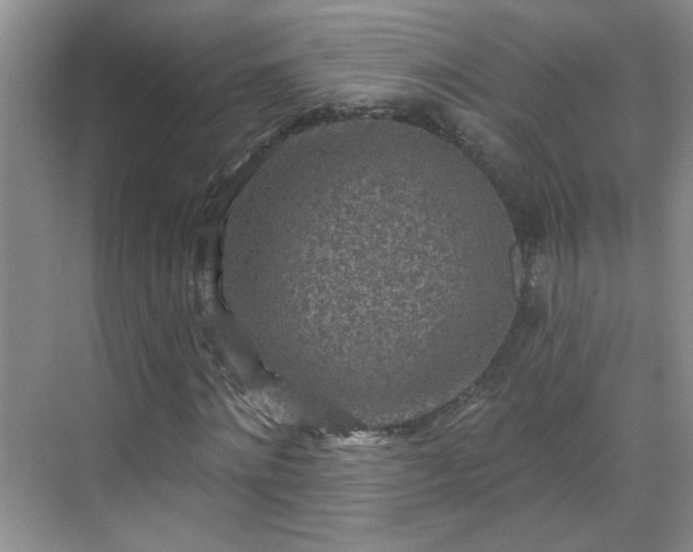 X0000070420868200606161435