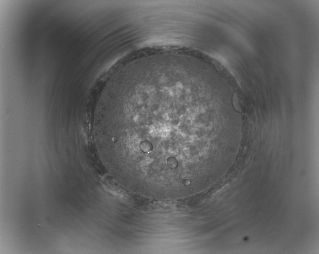 X0000070420871200606161435