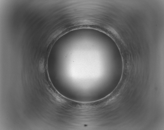 X0000070420873200606161435