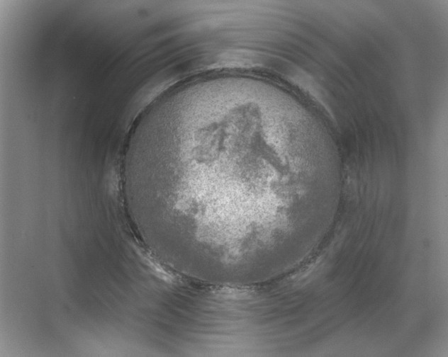 X0000070420874200606161435