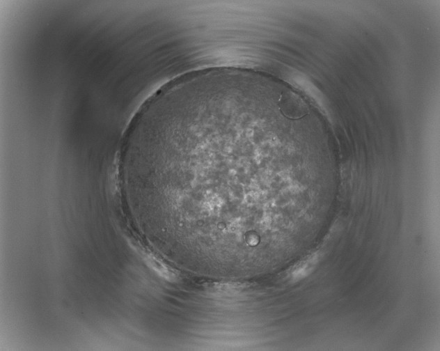 X0000070420875200606161435