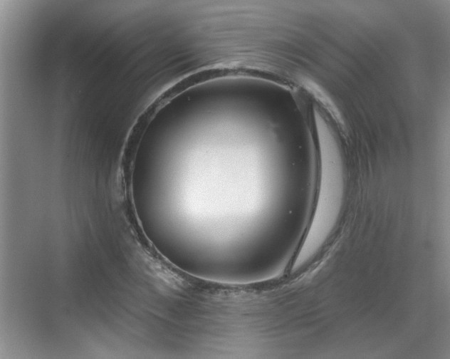 X0000070420876200606161435