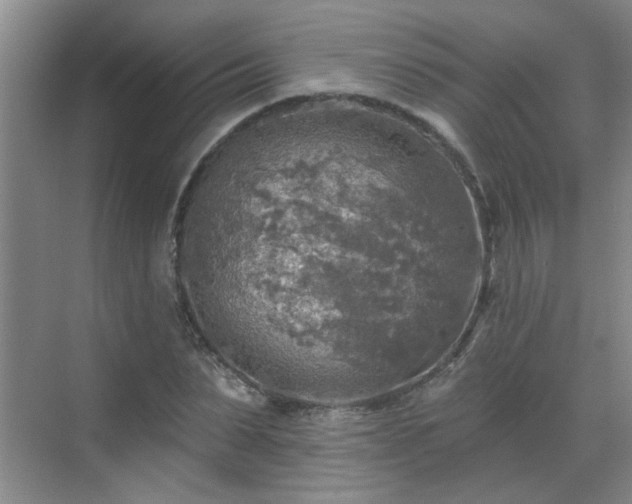 X0000070420879200606161435