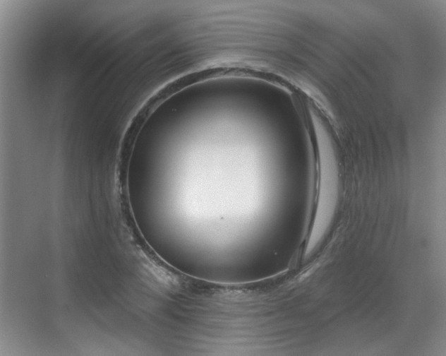 X0000070420880200606161435