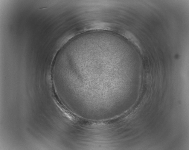 X0000070420882200606161435