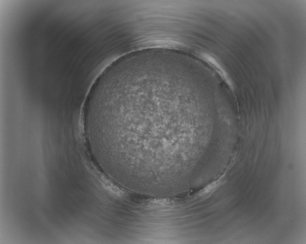 X0000070420883200606161435