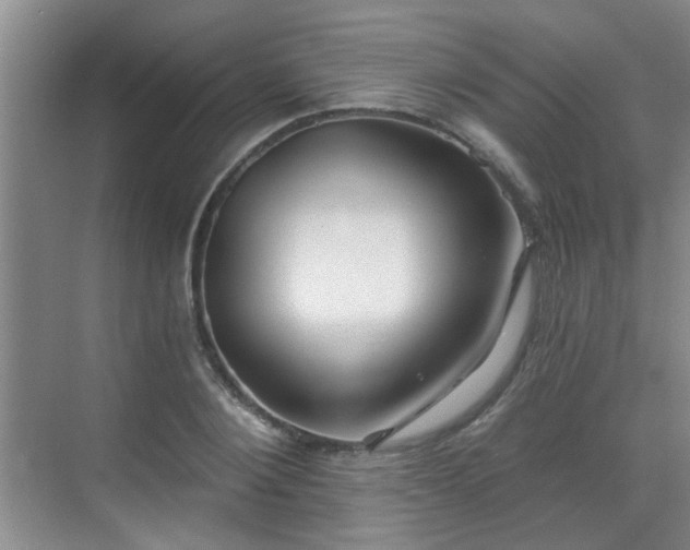 X0000070420884200606161435