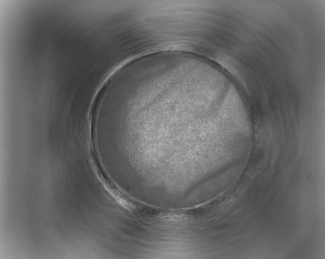 X0000070420886200606161435