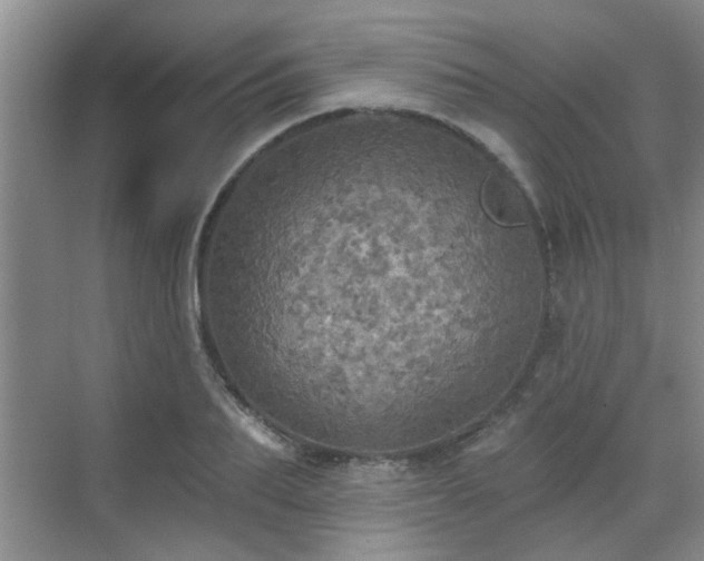 X0000070420887200606161435