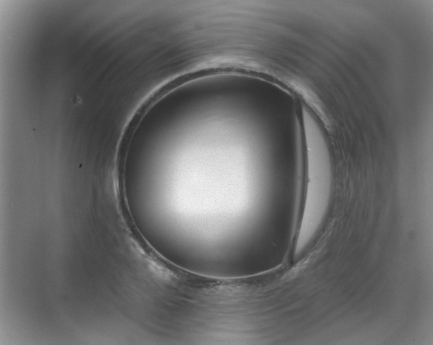 X0000070420888200606161435