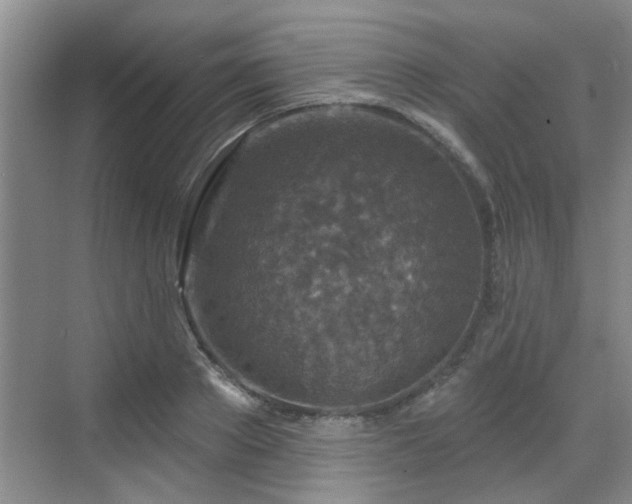 X0000070420889200606161435