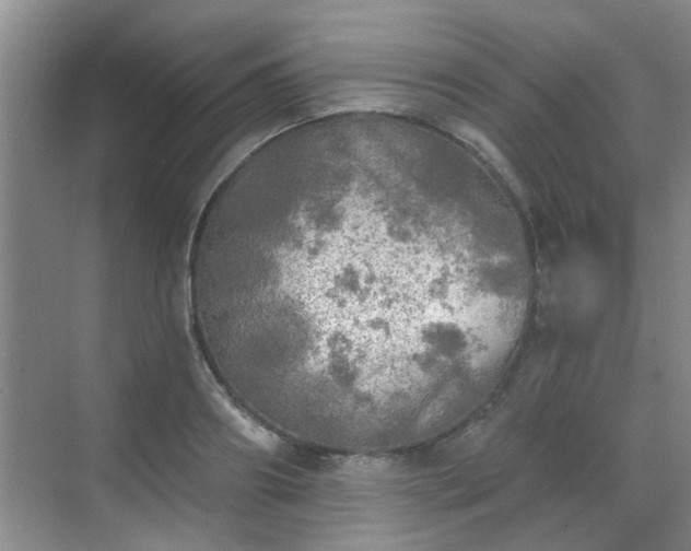 X0000070420890200606161435